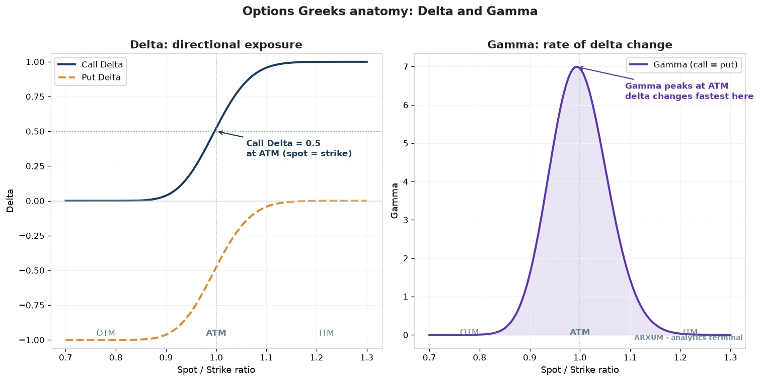 Options greeks anatomy diagram showing the delta curve for a call and a put against the spot to strike ratio, with call delta rising from 0 to 1 through 0.5 at the money, alongside the gamma curve peaking at the money where delta changes fastest