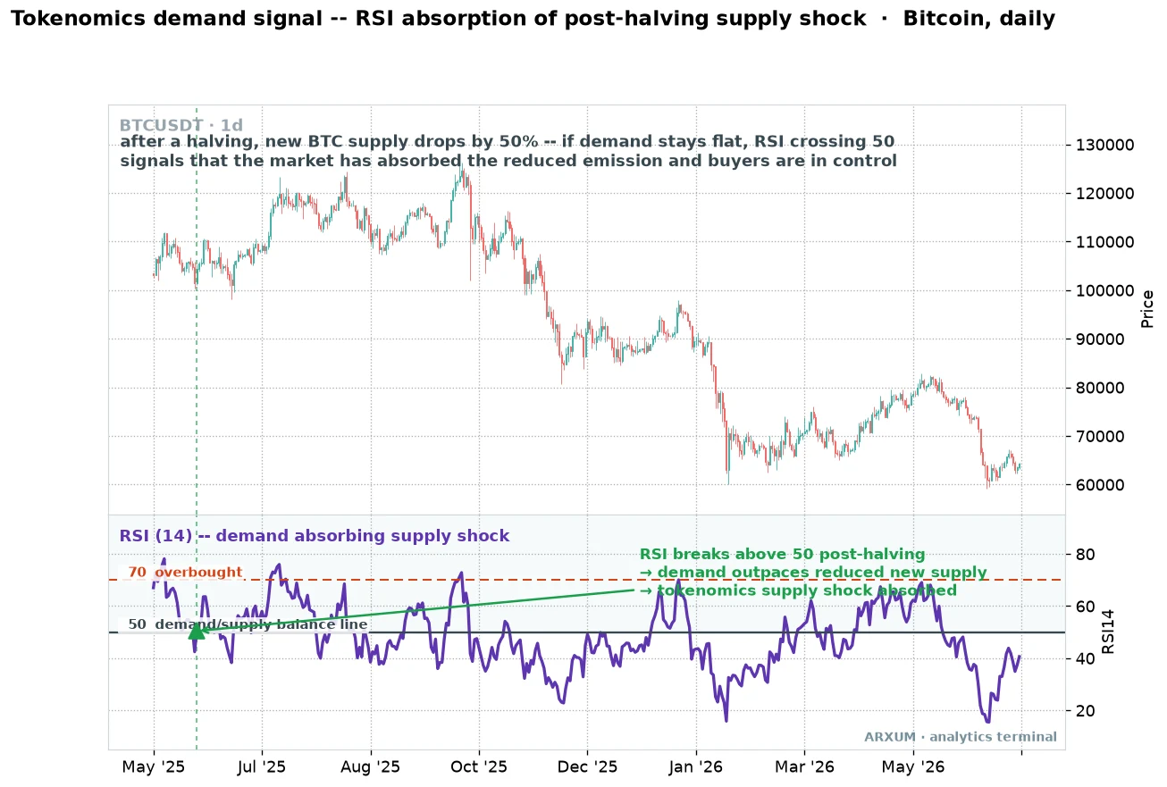 Tokenomics demand signal, the Bitcoin RSI crossing above 50 as the market absorbs a post-halving supply shock on the daily chart