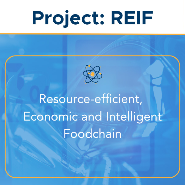 Research Project | REIF | Arxum